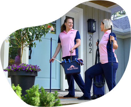 Turnkey Molly Maid Franchise for Sale - established and growing In Milton, ON